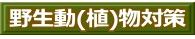 野生動(植)物対策